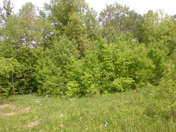 Индира Ахметзянова