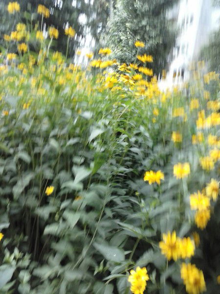 Надежда Макаева