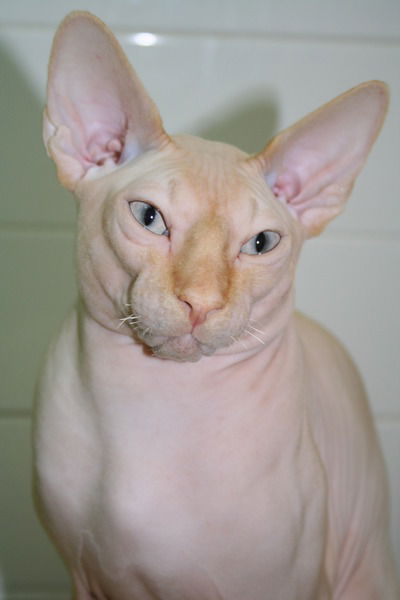 Юлия Афонина