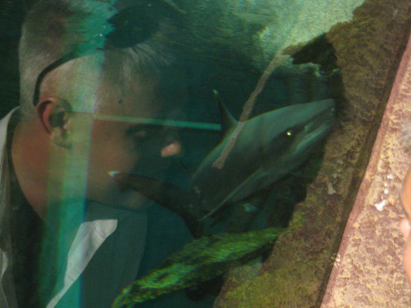 Александр Демидов