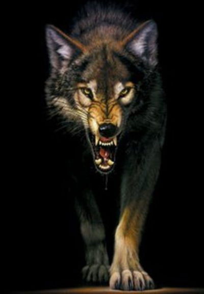 Дмитрий Зайцев