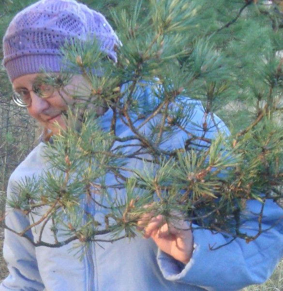 Ольга Никитина