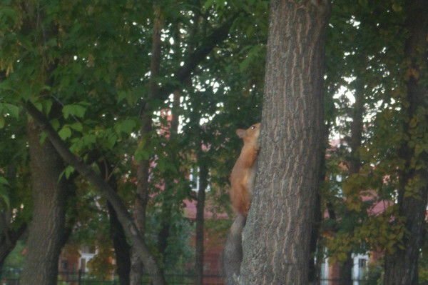 Екатерина Новикова