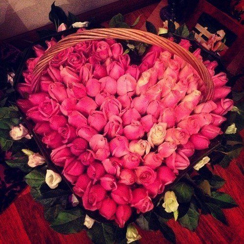 Ольга Владимировна