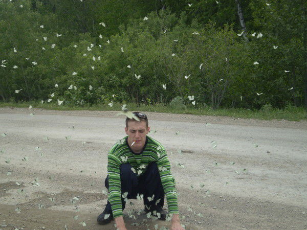 Евгений Миронов