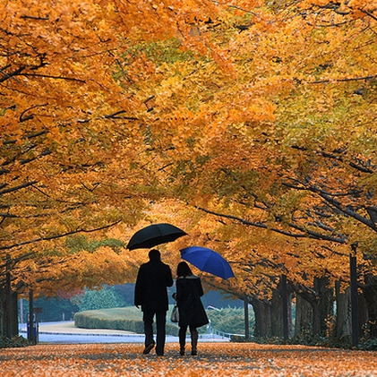 Наталья Жуковская