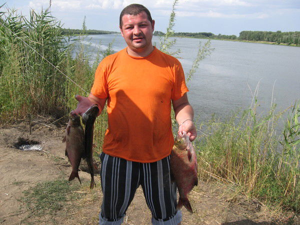 Вячеслав Парушин