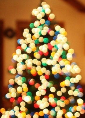 Администрация Куокуй