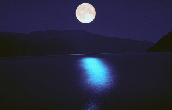 Игорь Барсуков