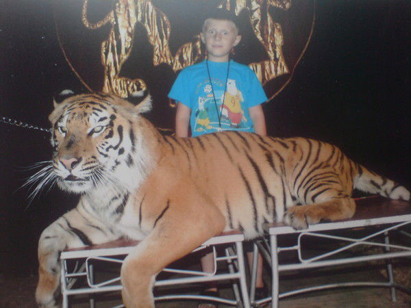 Александр Галь