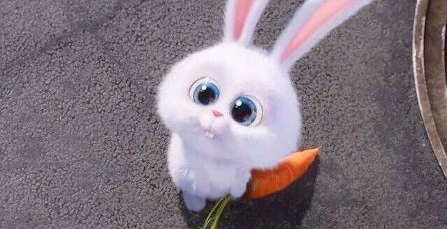 Кирилл Лебедев