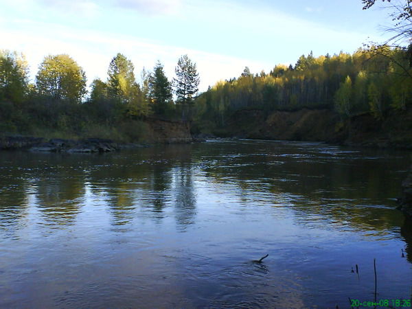 Александр Кухлевский
