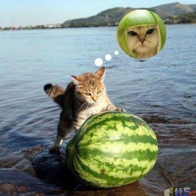 Анастасия Камаева