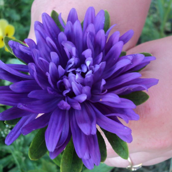 Лидия Матвеева