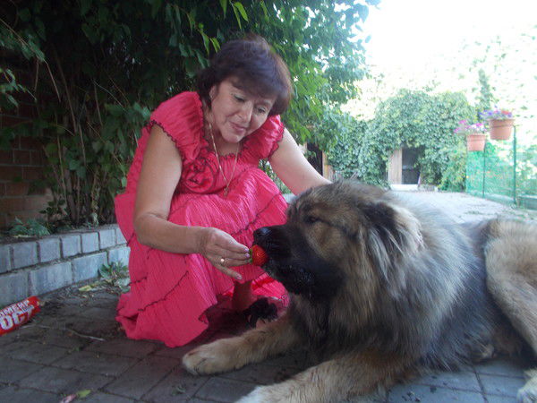 Елена Колесникова