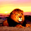 Алексей Кориневский