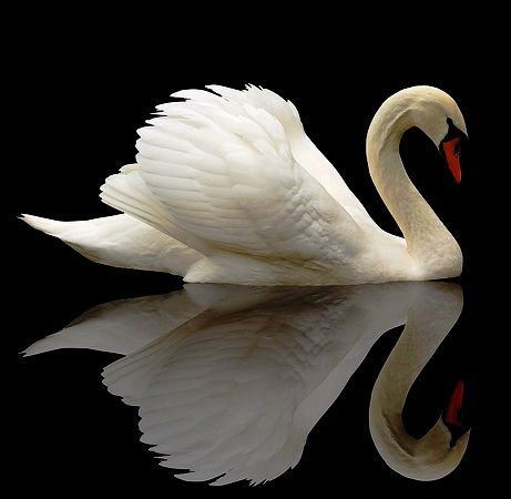 Юлия Лебедева