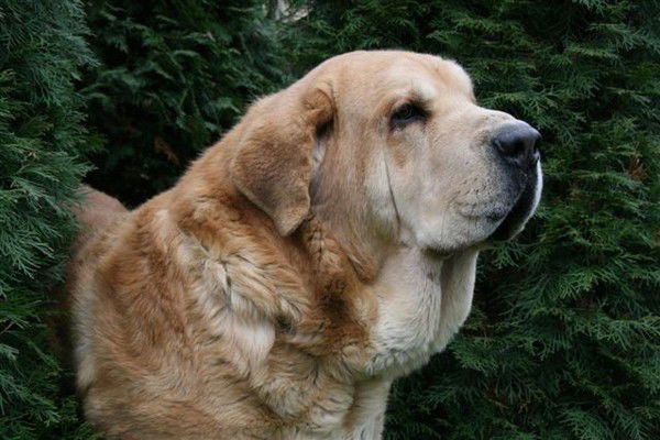 Кайрат Смагулов