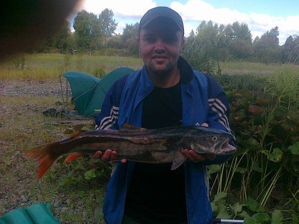 Максим Перепелица