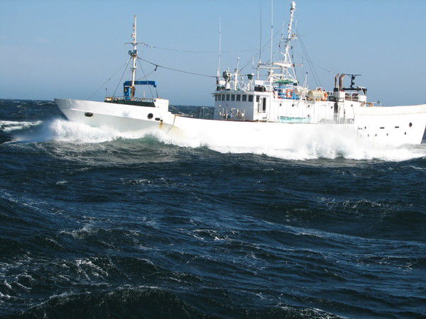 Алексей Жампозов