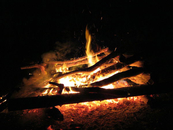 Виктор Манга