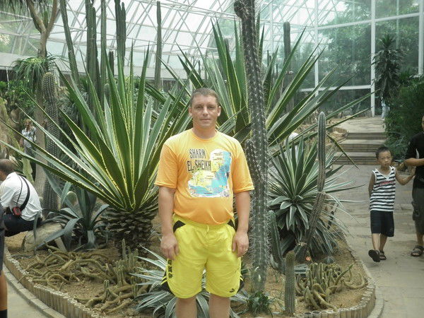 Александр Рамзов