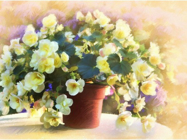 Айбуби Дуйсенгали