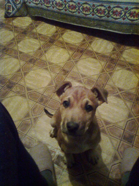 Анатолий Овчаров