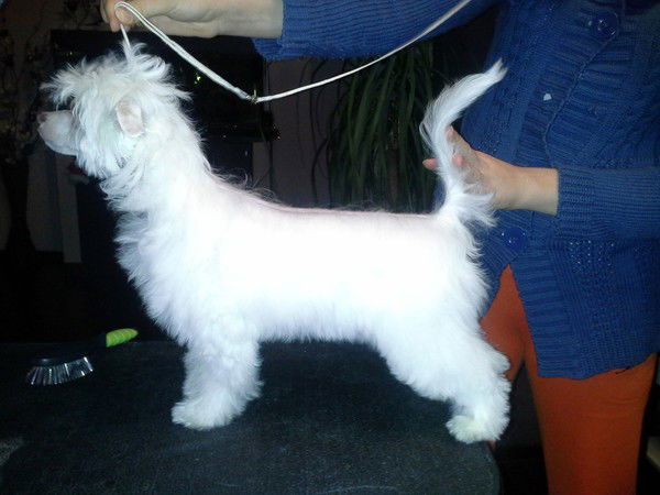 Вероничка Андрющенкова