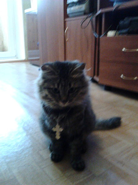 Башин Владимир