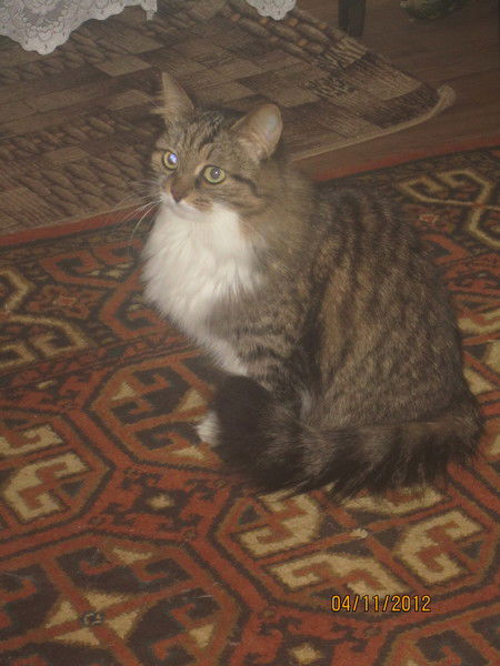 Iалександр Iшмелев