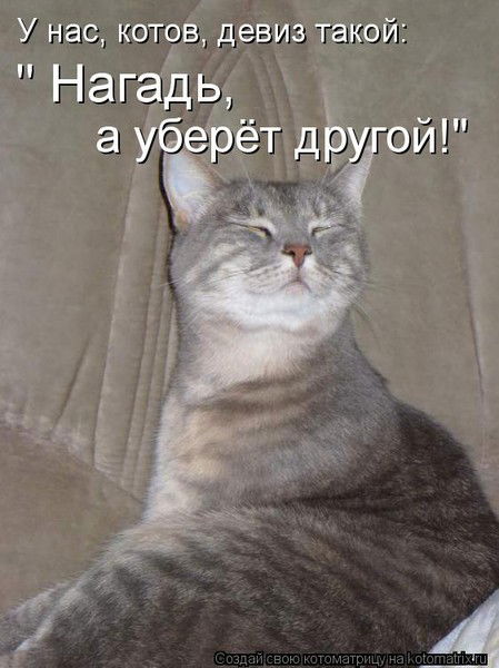 Василий Котофеевич