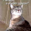 Василий Котофеевич