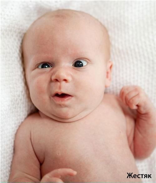 Administrator Web-Info