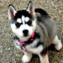 Олег Карташов