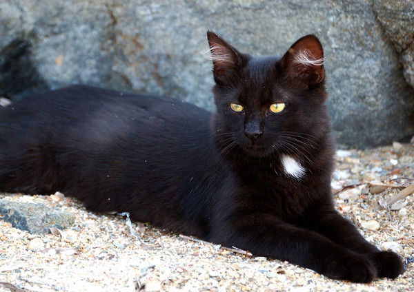 Юля Самохватова