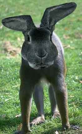 Татьяна Кочнева