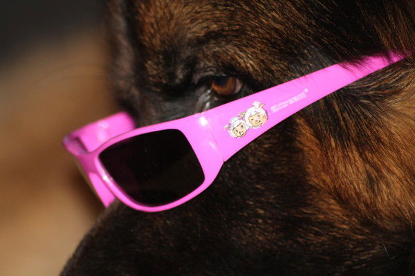 Александр Баскаков