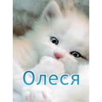 Олеся Прокопенко