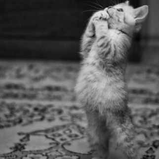 Ольга Третьякова