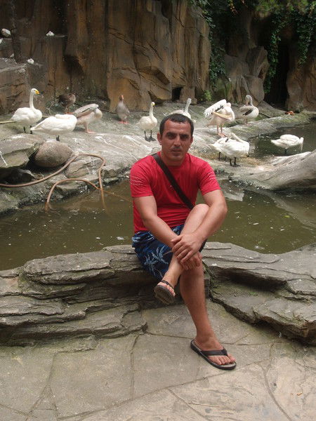 Шамиль Гусейнов