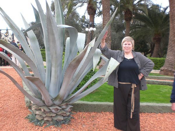 Нина Полякова