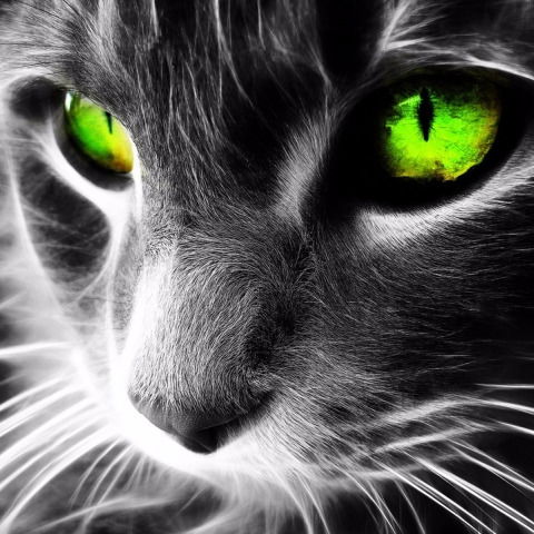 Просто Лера