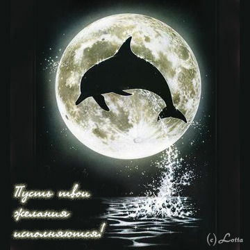 Светлана Скобликова