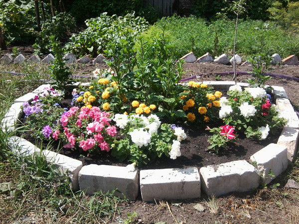 Любовь Васильева