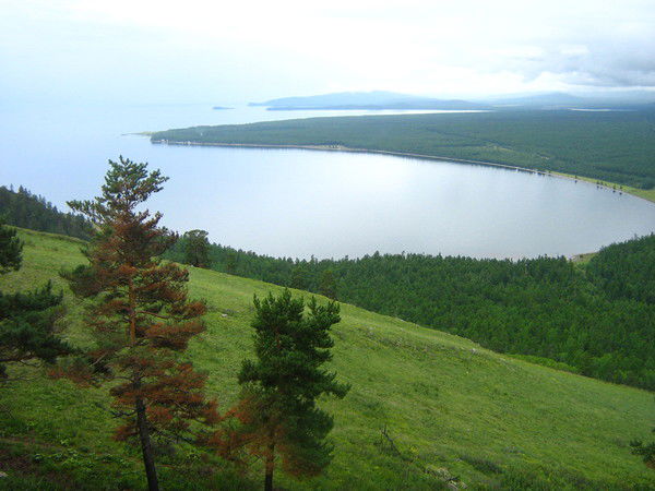 Светлана Привалова