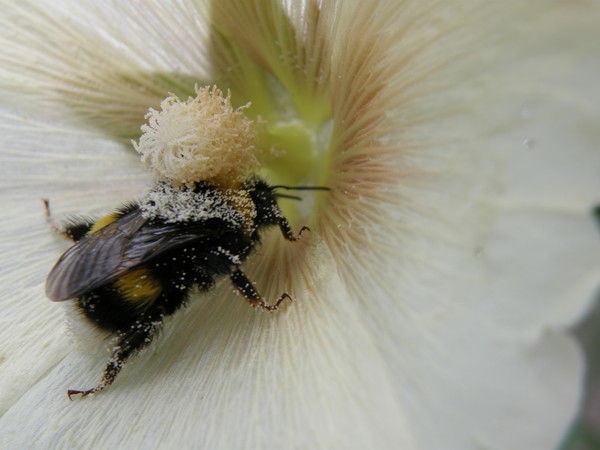 Катерина Гладких