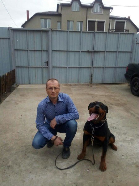 Денис Брезгин