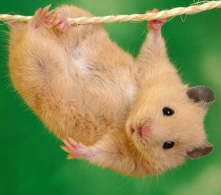 Наталья Курига