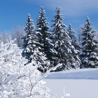 Татьяна Камынина